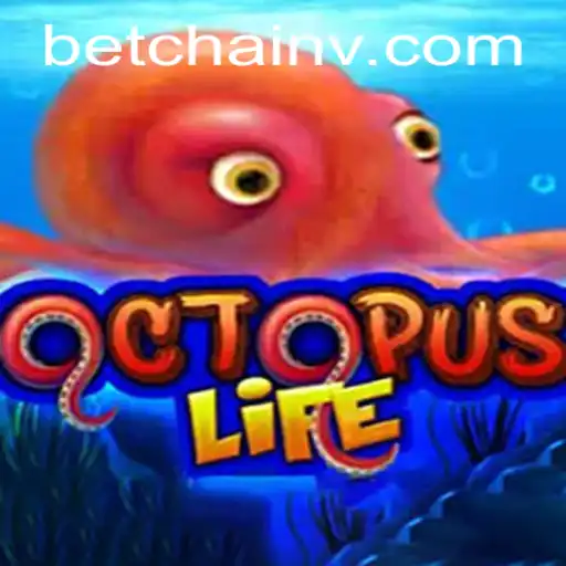 Dive into Adventure with OctopusLife on the Ok8 Plataforma
